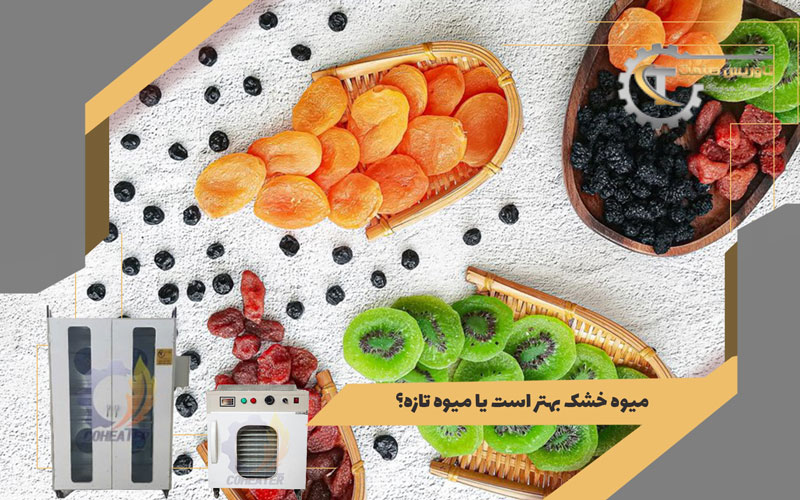 مقایسه میوه خشک و میوه تازه,میوه خشک بهتر است یا میوه تازه؟