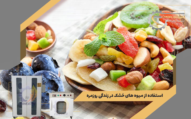میوه خشک را چگونه بخوریم,استفاده از میوه خشک در زندگی روزمره