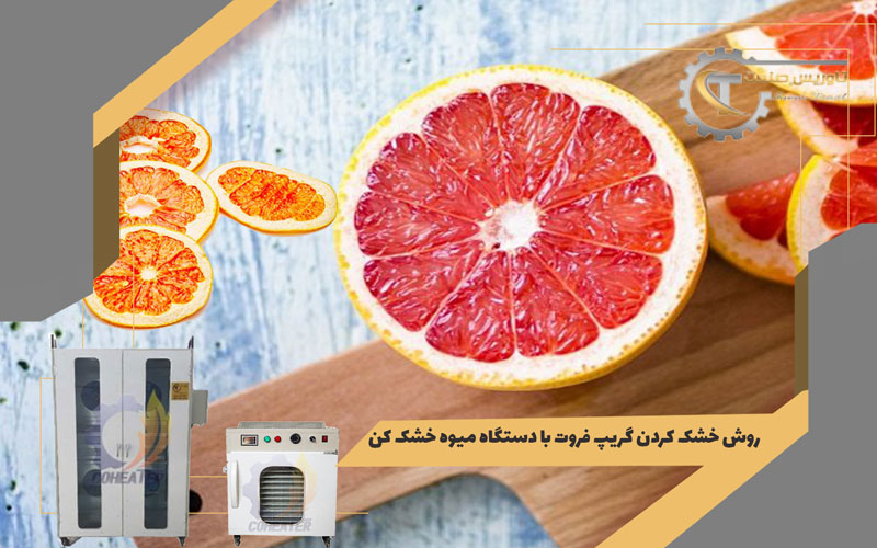 روش های خشک کردن گریپ فروت,گریپ فروت خشک شده