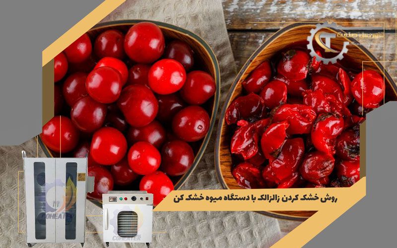 طرز خشک کردن زالزالک