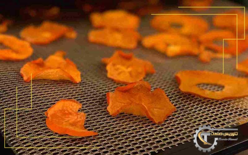 موارد استفاده از خرمالو خشک