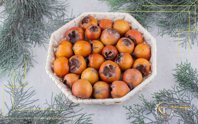 روش‌ های خشک کردن ازگیل