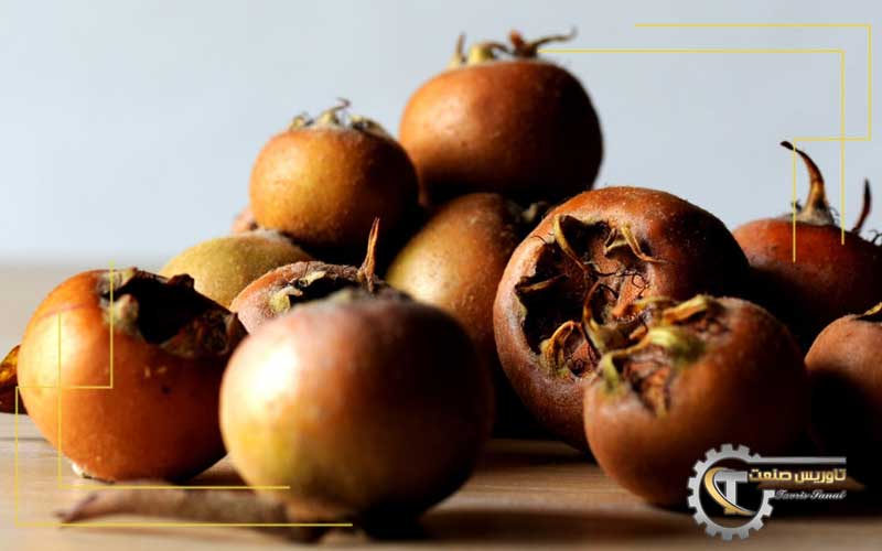 موارد استفاده از ازگیل خشک شده