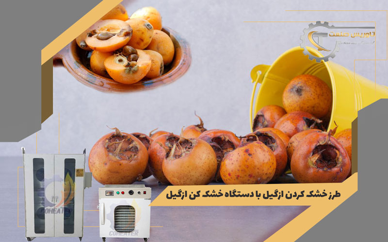 طرز خشک کردن ازگیل با دستگاه خشک کن ازگیل,خشک کردن ازگیل