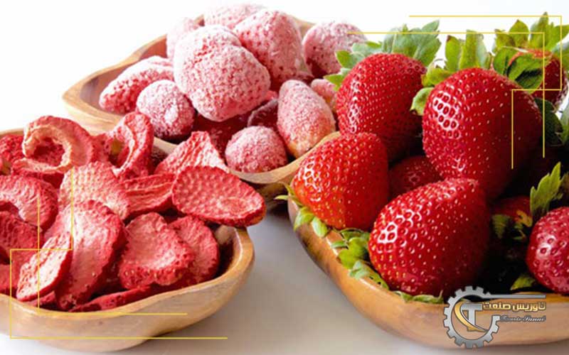 فریز درایر چیست